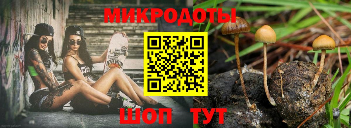 Галлюциногенные грибы мицелий Новотроицк